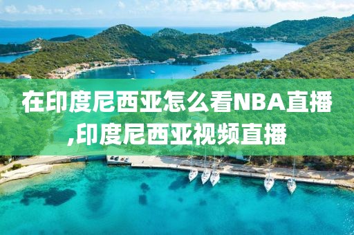 在印度尼西亚怎么看NBA直播,印度尼西亚视频直播