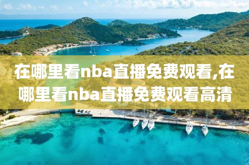 在哪里看nba直播免费观看,在哪里看nba直播免费观看高清