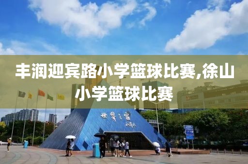 丰润迎宾路小学篮球比赛,徐山小学篮球比赛