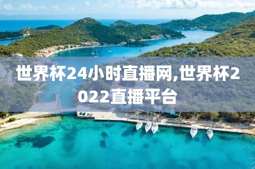 世界杯24小时直播网,世界杯2022直播平台