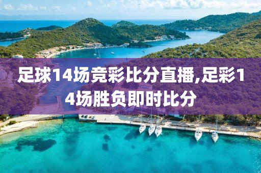 足球14场竞彩比分直播,足彩14场胜负即时比分