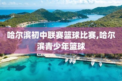 哈尔滨初中联赛篮球比赛,哈尔滨青少年篮球