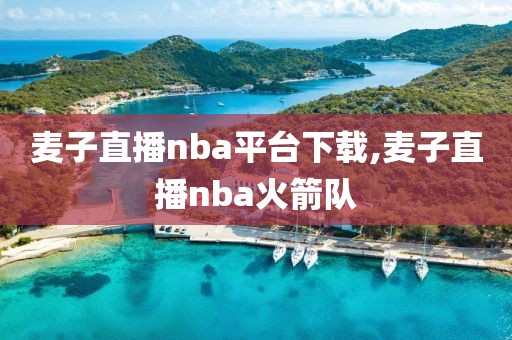 麦子直播nba平台下载,麦子直播nba火箭队