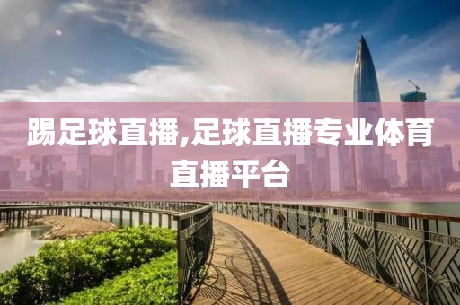 踢足球直播,足球直播专业体育直播平台