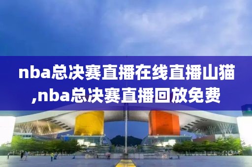 nba总决赛直播在线直播山猫,nba总决赛直播回放免费