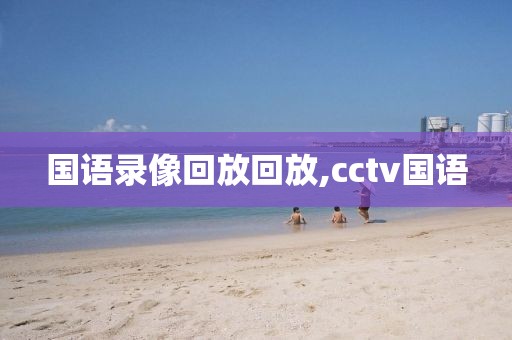 国语录像回放回放,cctv国语