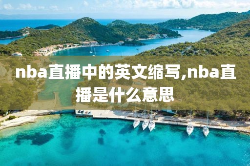 nba直播中的英文缩写,nba直播是什么意思