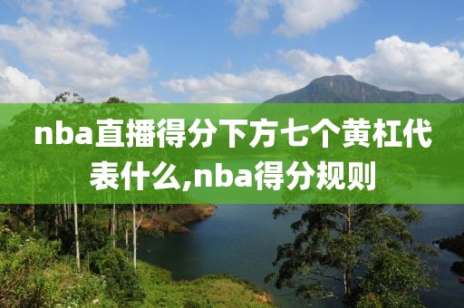 nba直播得分下方七个黄杠代表什么,nba得分规则