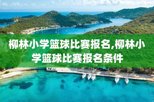 柳林小学篮球比赛报名,柳林小学篮球比赛报名条件