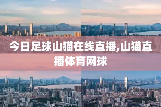 今日足球山猫在线直播,山猫直播体育网球
