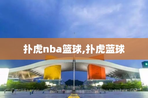 扑虎nba篮球,扑虎蓝球