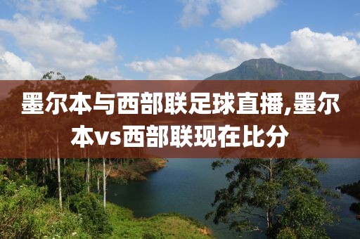 墨尔本与西部联足球直播,墨尔本vs西部联现在比分