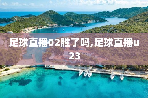 足球直播02胜了吗,足球直播u23