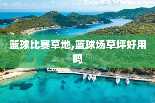 篮球比赛草地,篮球场草坪好用吗