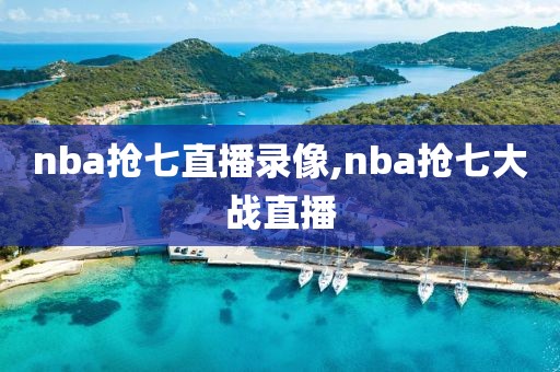 nba抢七直播录像,nba抢七大战直播