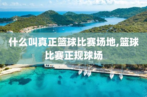 什么叫真正篮球比赛场地,篮球比赛正规球场
