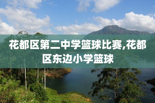 花都区第二中学篮球比赛,花都区东边小学篮球