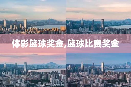 体彩篮球奖金,篮球比赛奖金