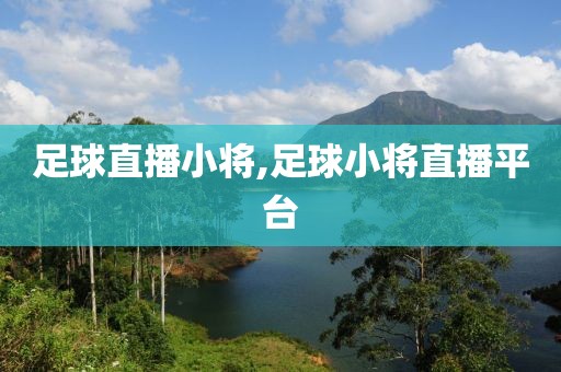 足球直播小将,足球小将直播平台