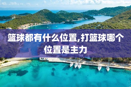 篮球都有什么位置,打篮球哪个位置是主力