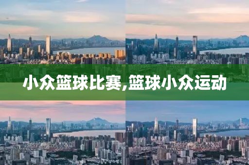 小众篮球比赛,篮球小众运动