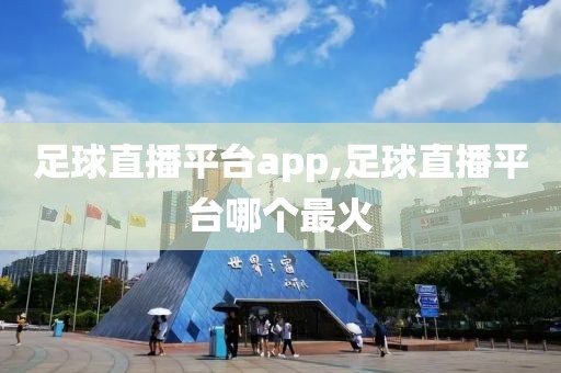 足球直播平台app,足球直播平台哪个最火