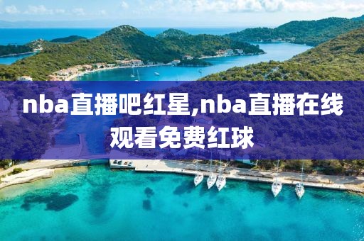 nba直播吧红星,nba直播在线观看免费红球