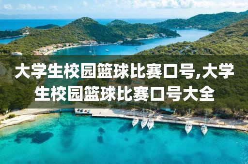 大学生校园篮球比赛口号,大学生校园篮球比赛口号大全