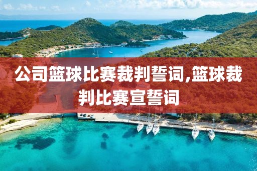 公司篮球比赛裁判誓词,篮球裁判比赛宣誓词