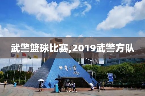 武警篮球比赛,2019武警方队