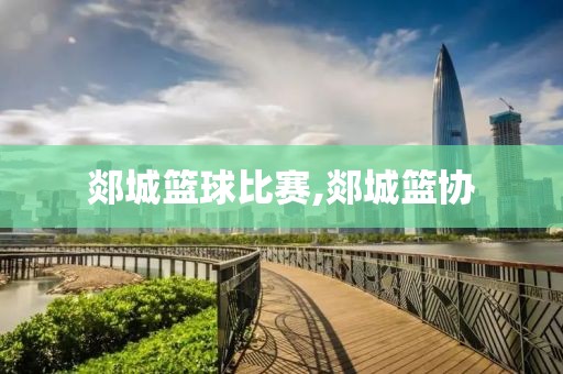 郯城篮球比赛,郯城篮协