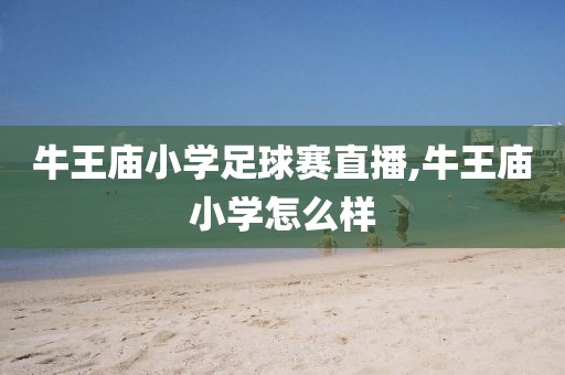 牛王庙小学足球赛直播,牛王庙小学怎么样