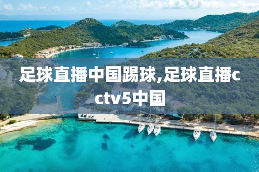 足球直播中国踢球,足球直播cctv5中国