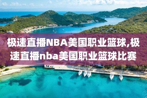 极速直播NBA美国职业篮球,极速直播nba美国职业篮球比赛