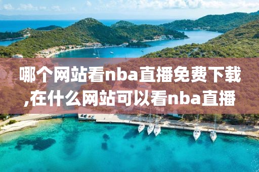 哪个网站看nba直播免费下载,在什么网站可以看nba直播