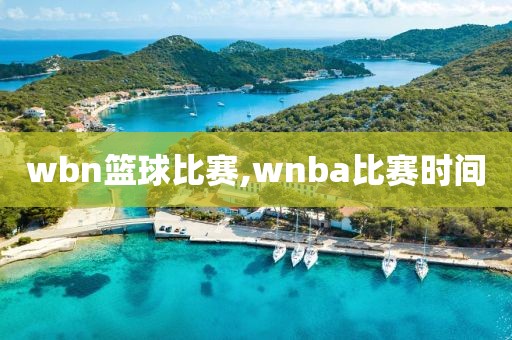 wbn篮球比赛,wnba比赛时间