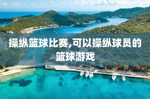 操纵篮球比赛,可以操纵球员的篮球游戏