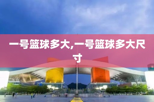 一号篮球多大,一号篮球多大尺寸
