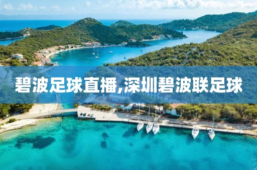 碧波足球直播,深圳碧波联足球