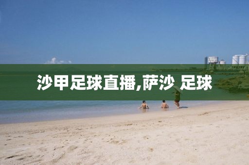 沙甲足球直播,萨沙 足球