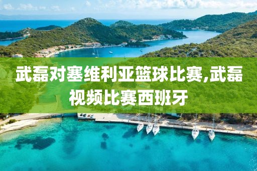 武磊对塞维利亚篮球比赛,武磊视频比赛西班牙