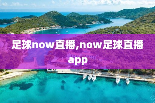 足球now直播,now足球直播app