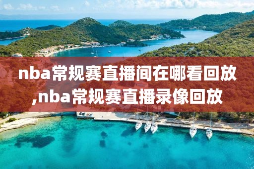 nba常规赛直播间在哪看回放,nba常规赛直播录像回放