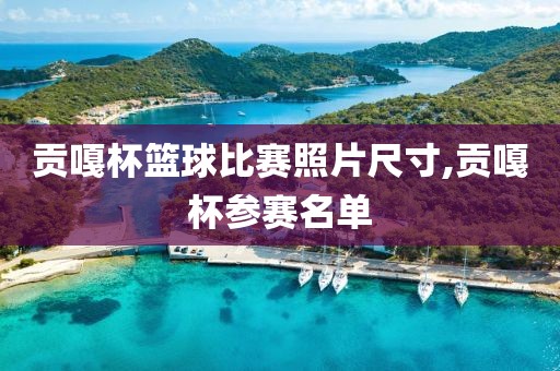 贡嘎杯篮球比赛照片尺寸,贡嘎杯参赛名单
