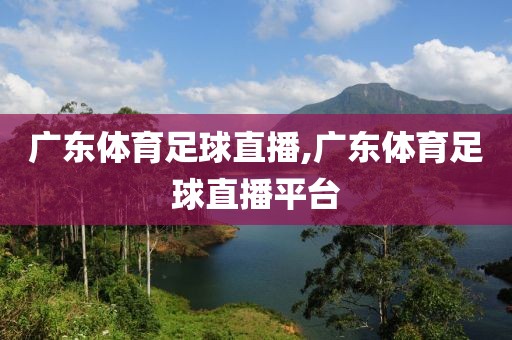 广东体育足球直播,广东体育足球直播平台