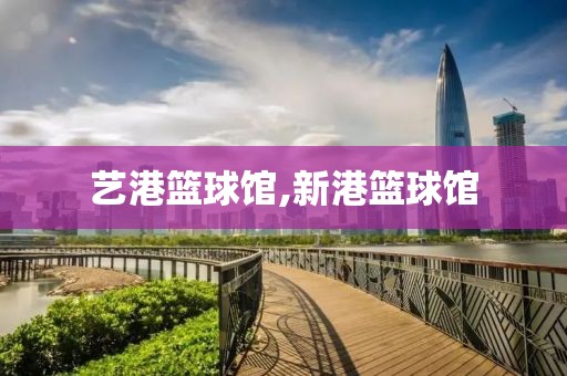 艺港篮球馆,新港篮球馆