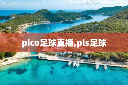 pico足球直播,pls足球