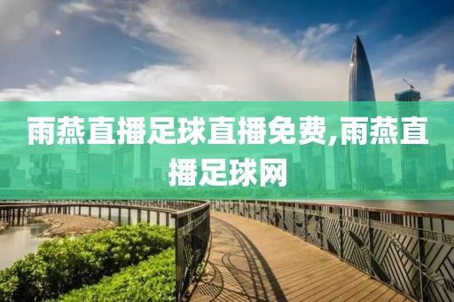 雨燕直播足球直播免费,雨燕直播足球网