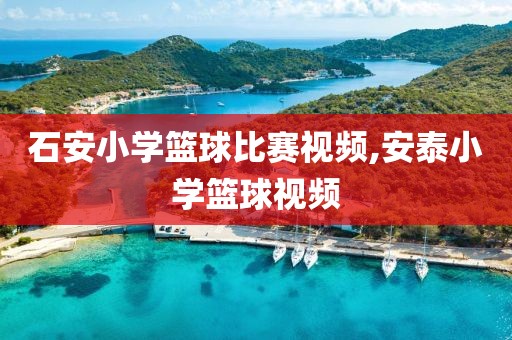 石安小学篮球比赛视频,安泰小学篮球视频