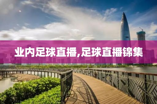 业内足球直播,足球直播锦集